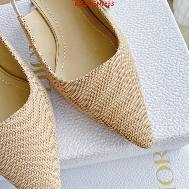 Women Shoes-Dior,replica 2023 perfect luxury , ID: SN7833,$: 99USD