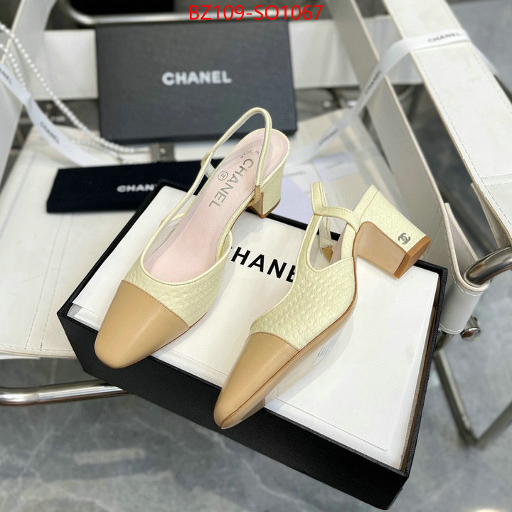 Women Shoes-Chanel,brand designer replica , ID: SO1067,$: 109USD