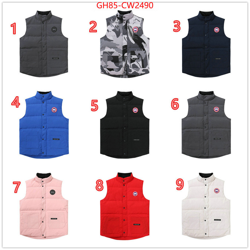 Down jacket Women-Canada Goose,replica wholesale , ID: CW2490,$: 85USD