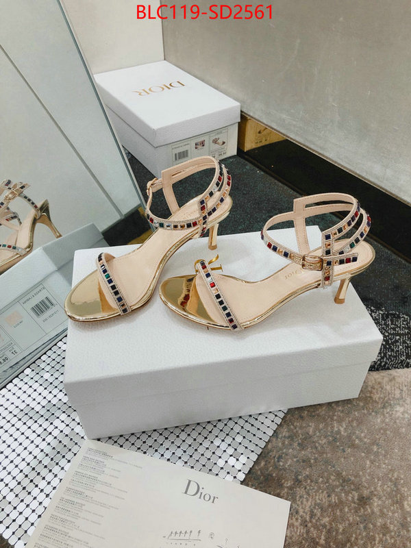 Women Shoes-Dior,sell online luxury designer , ID: SD2561,$: 119USD