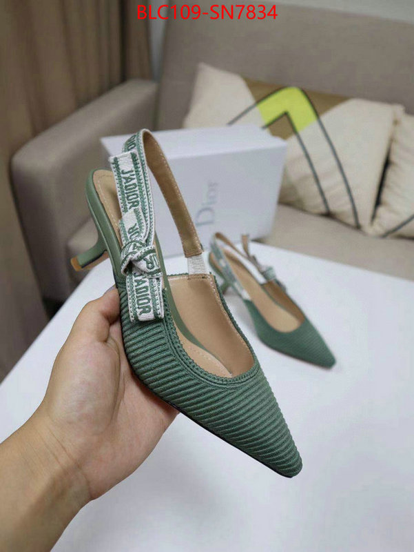 Women Shoes-Dior,the highest quality fake , ID: SN7834,$: 109USD