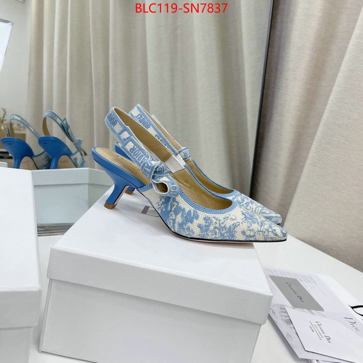 Women Shoes-Dior,replicas , ID: SN7837,$: 119USD