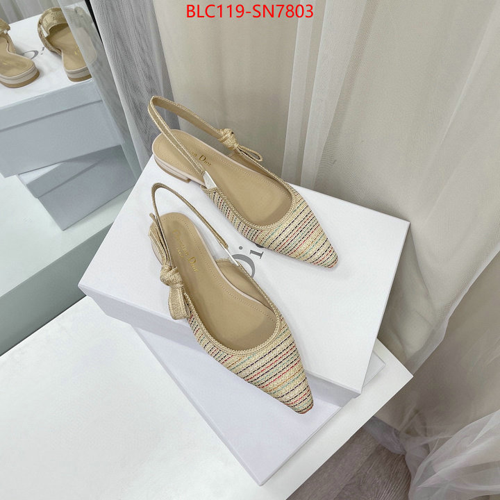 Women Shoes-Dior,replica designer , ID: SN7803,$: 119USD