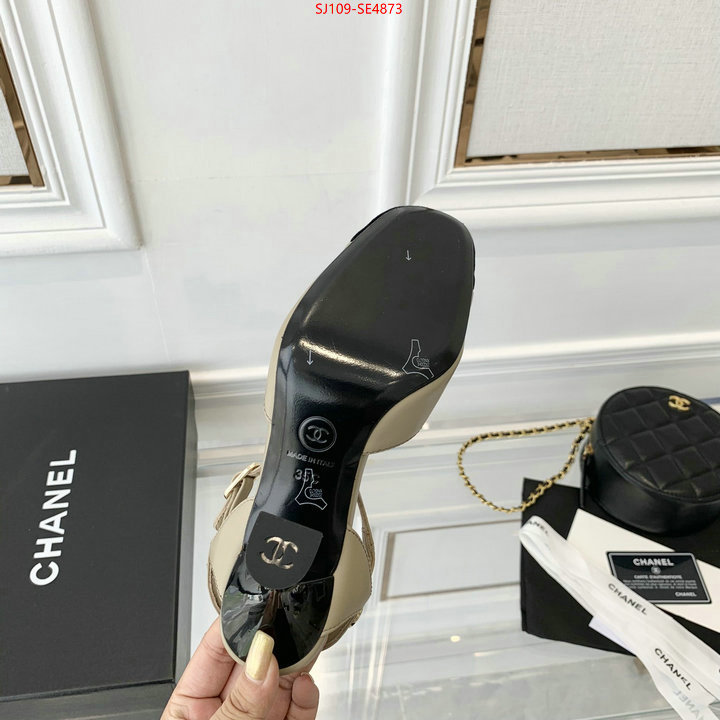 Women Shoes-Chanel,how to buy replica shop , ID: SE4873,$: 109USD