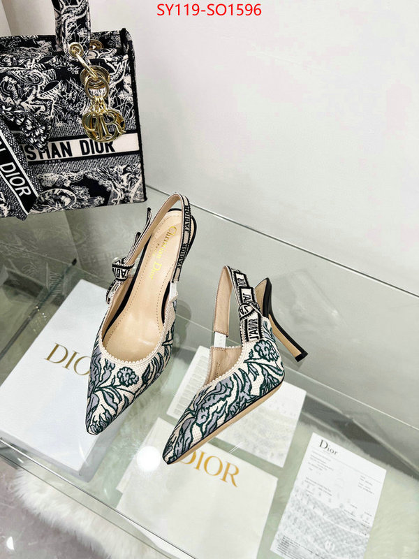 Women Shoes-Dior,high quality online , ID: SO1596,$: 119USD