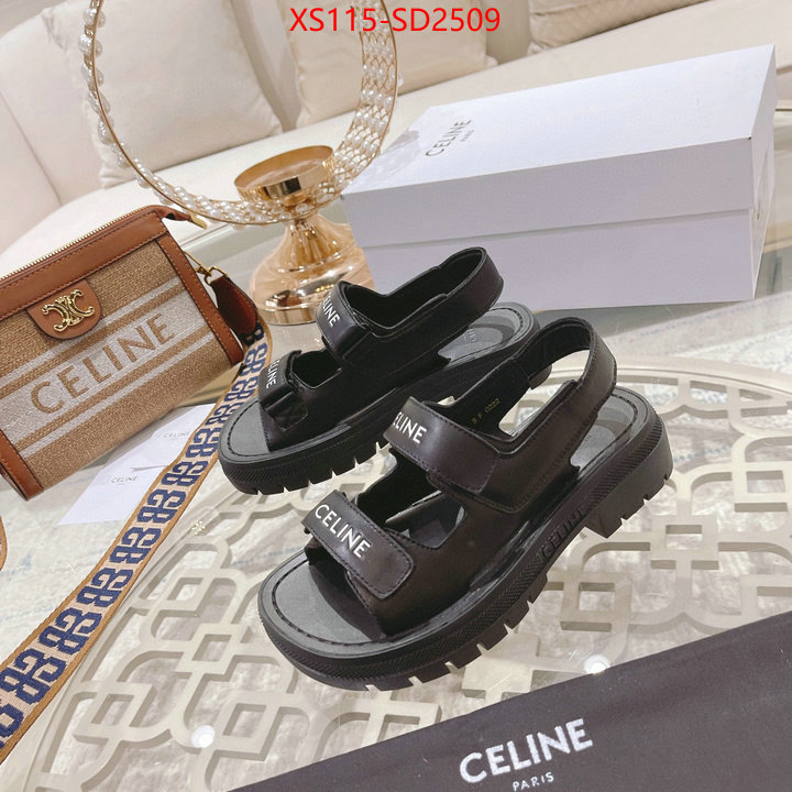 Women Shoes-CELINE,top quality designer replica , ID: SD2509,$: 115USD