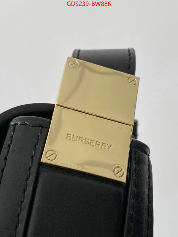 Burberry Bags(TOP)-Diagonal-,top grade ,ID: BW886,$: 239USD