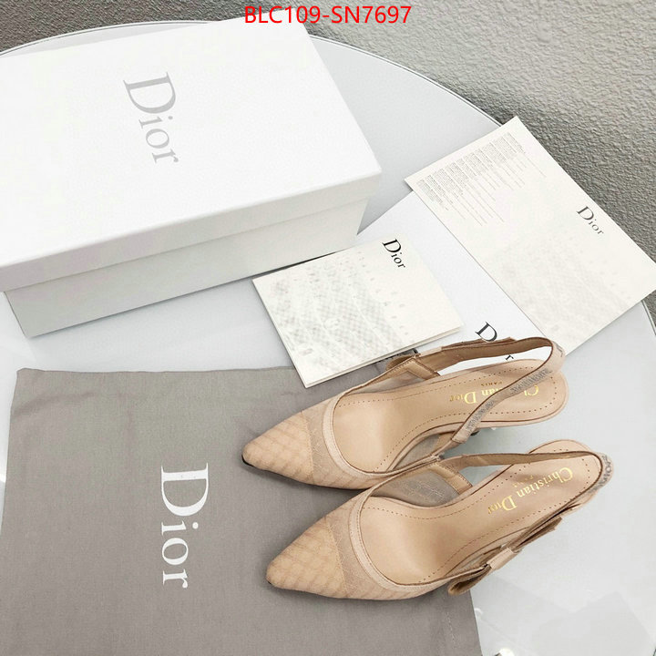 Women Shoes-Dior,top quality designer replica , ID: SN7697,$: 109USD