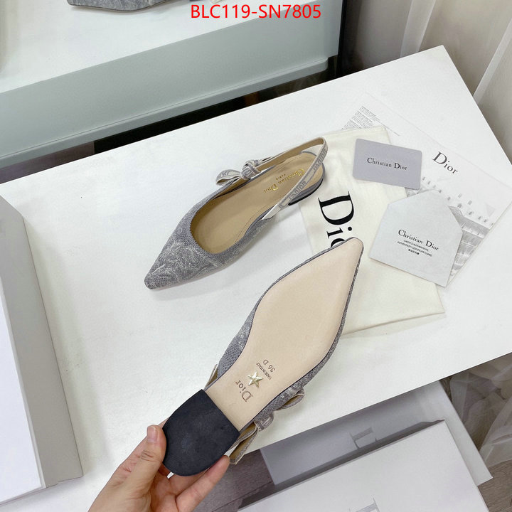 Women Shoes-Dior,the top ultimate knockoff , ID: SN7805,$: 119USD