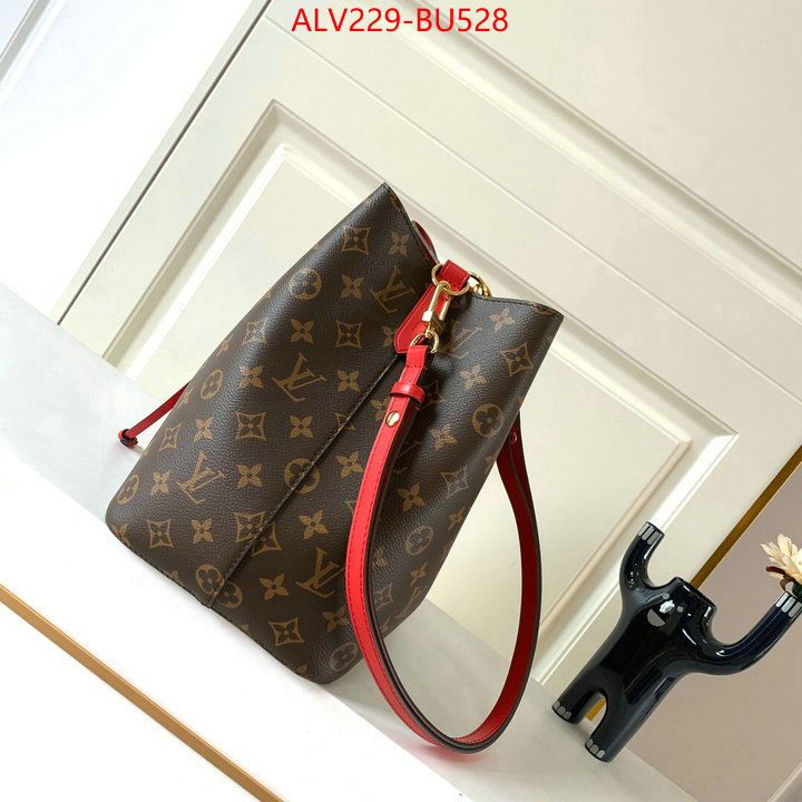 LV Bags(TOP)-Nono-No Purse-Nano No-,ID: BU528,$: 229USD