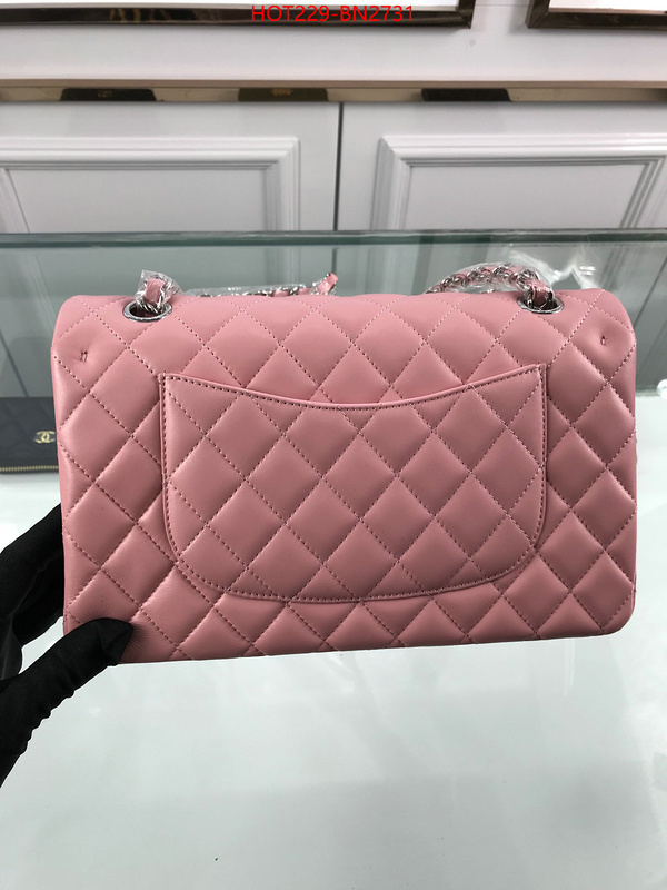 Chanel Bags(TOP)-Diagonal-,ID: BN2731,$: 229USD