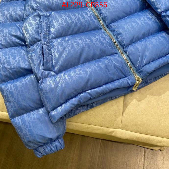 Down jacket Women-Dior,china sale , ID: CP856,$: 229USD