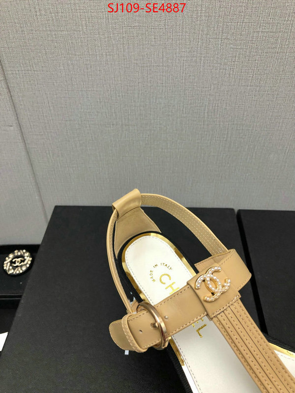 Women Shoes-Chanel,store , ID: SE4887,$: 109USD