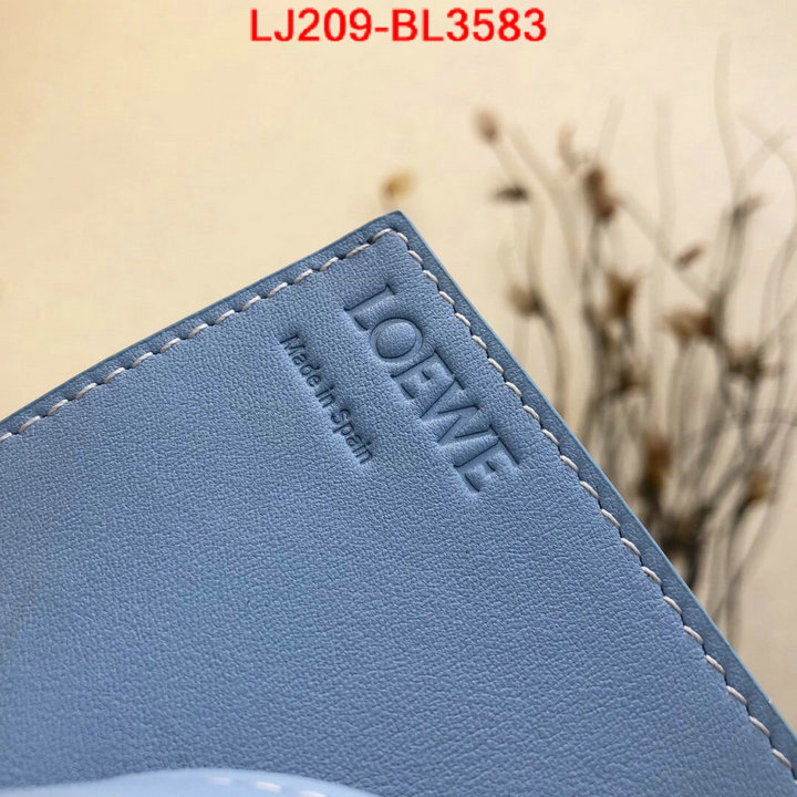 Loewe Bags(TOP)-Diagonal-,high quality online ,ID: BL3583,$: 209USD