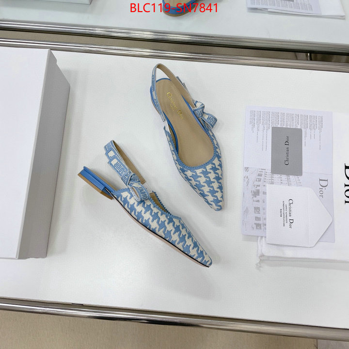 Women Shoes-Dior,outlet 1:1 replica , ID: SN7841,$: 119USD