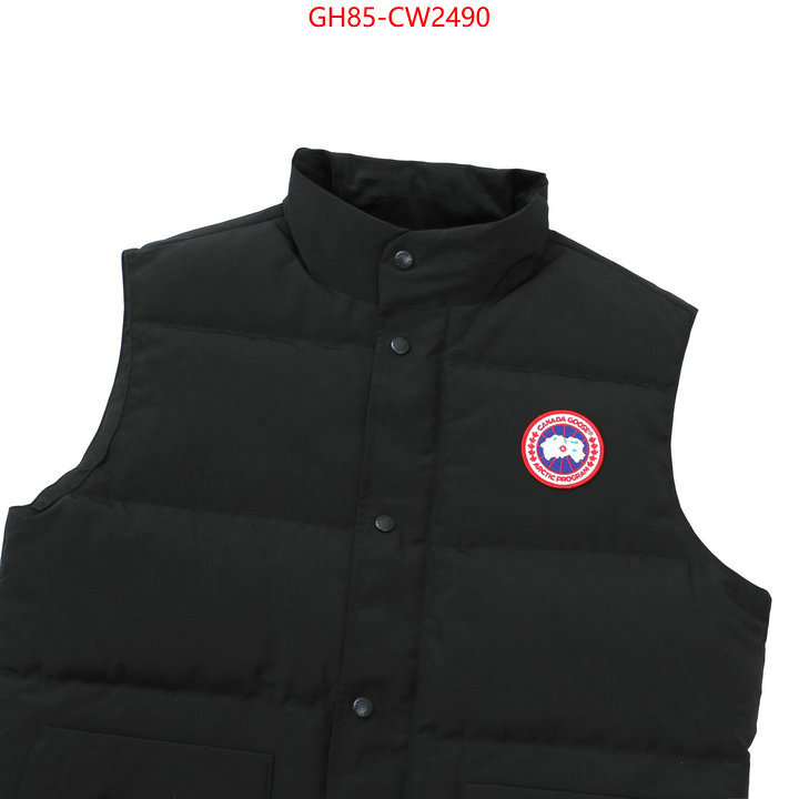 Down jacket Men-Canada Goose,best quality replica , ID: CW2490,$: 85USD