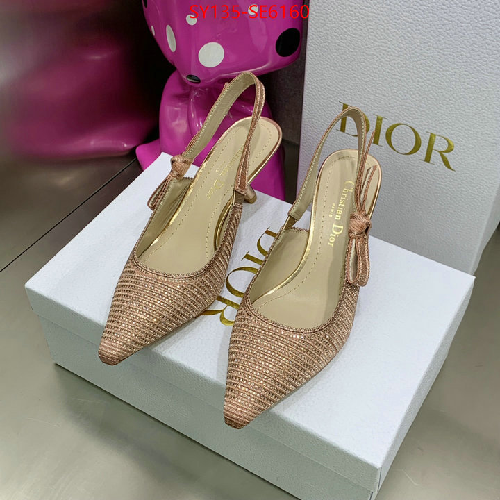 Women Shoes-Dior,high quality replica designer ID: SE6160,$: 135USD