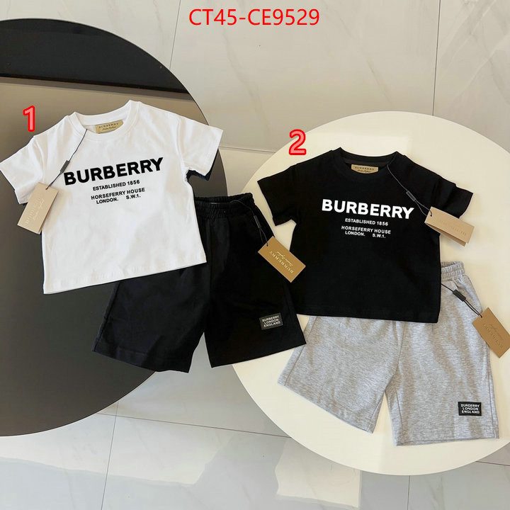 Kids clothing-Burberry,aaaaa+ replica designer ID: CE9529,$: 45USD