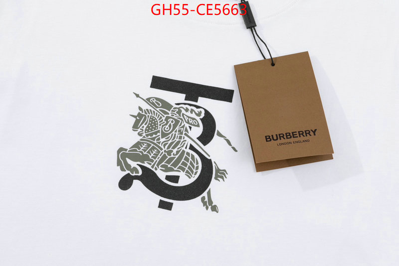 Clothing-Burberry,the best designer ID: CE5663,$: 55USD