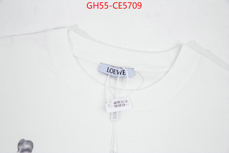 Clothing-Loewe,we curate the best ID: CE5709,$: 55USD