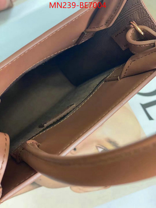 Loewe Bags(TOP)-Handbag-,buy luxury 2023 ID: BE7004,$: 239USD