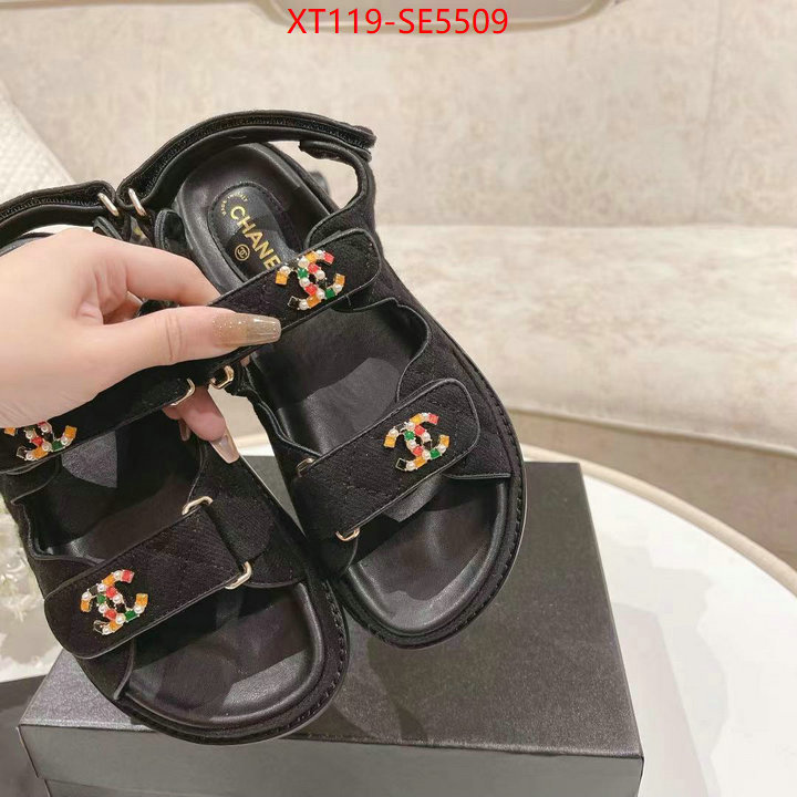 Women Shoes-Chanel,supplier in china ID: SE5509,$: 119USD