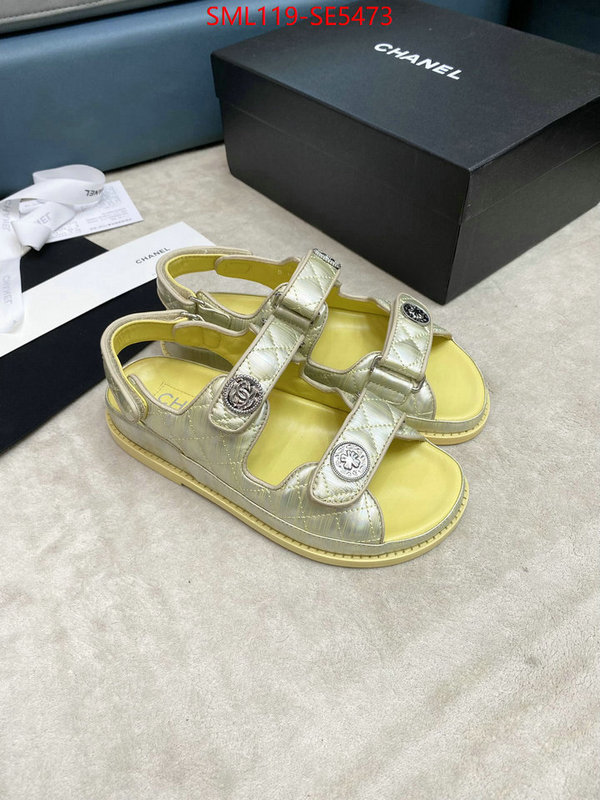 Women Shoes-Chanel,copy ID: SE5473,$: 119USD