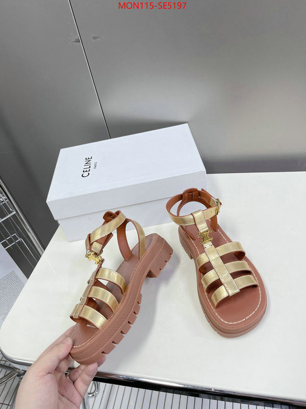 Women Shoes-CELINE,buy the best high quality replica ID: SE5197,$: 115USD