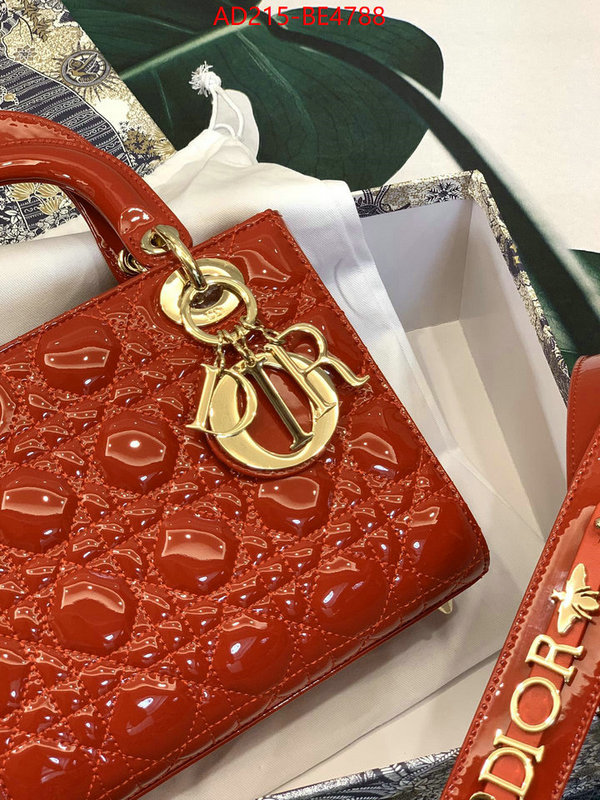 Dior Bags(TOP)-Lady-,best designer replica ID: BE4788,$: 215USD
