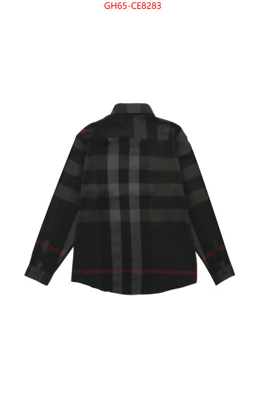 Clothing-Burberry,best luxury replica ID: CE8283,$: 65USD