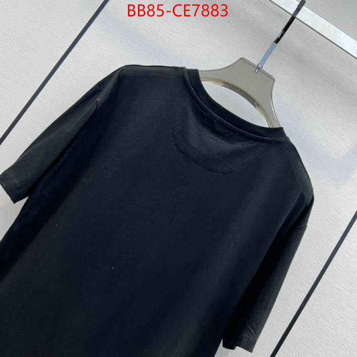 Clothing-Valentino,online store ID: CE7883,$: 85USD