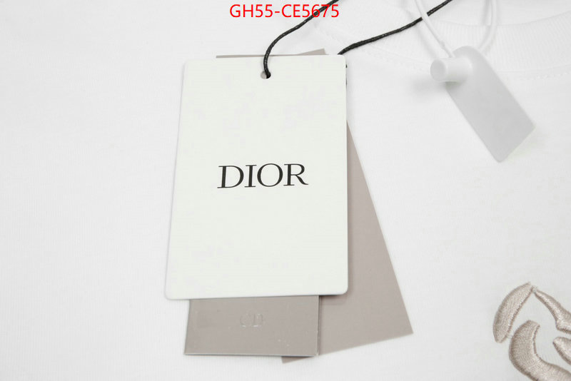 Clothing-Dior,best site for replica ID: CE5675,$: 55USD