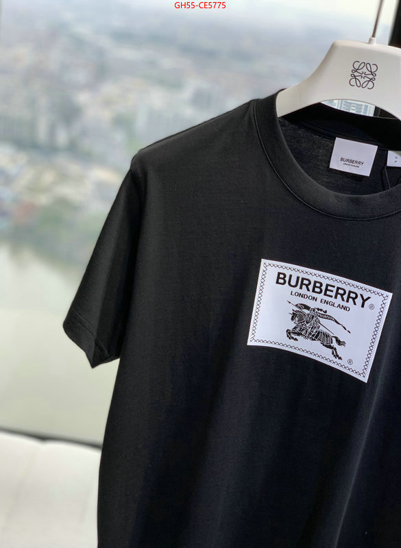 Clothing-Burberry,good quality replica ID: CE5775,$: 55USD