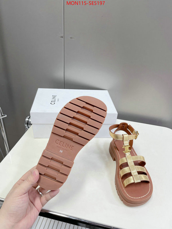 Women Shoes-CELINE,buy the best high quality replica ID: SE5197,$: 115USD