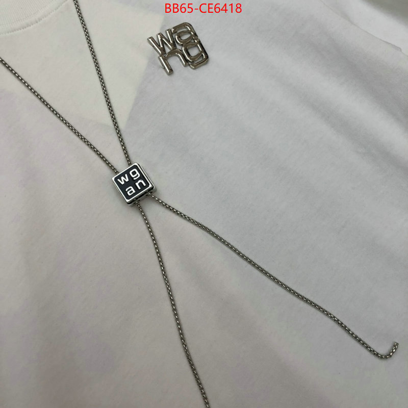 Clothing-Alexander Wang,high quality designer replica ID: CE6418,$: 65USD