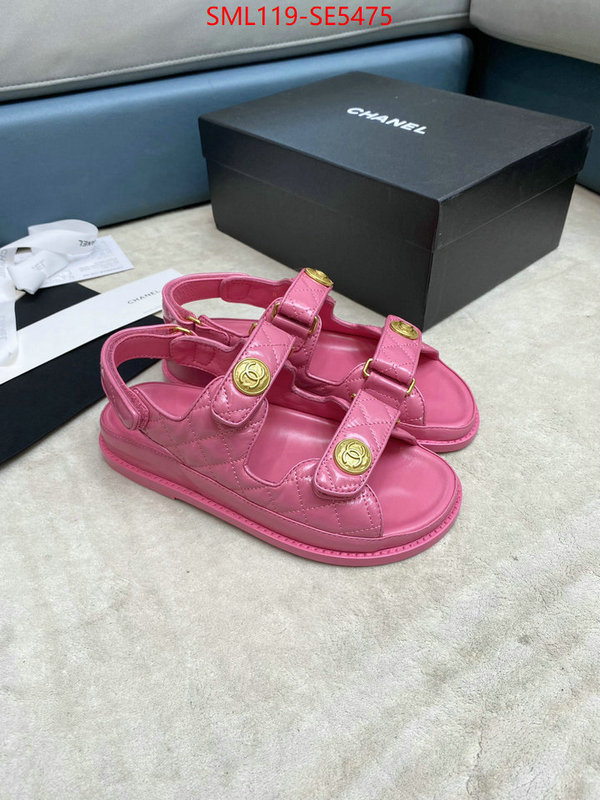 Women Shoes-Chanel,best knockoff ID: SE5475,$: 119USD