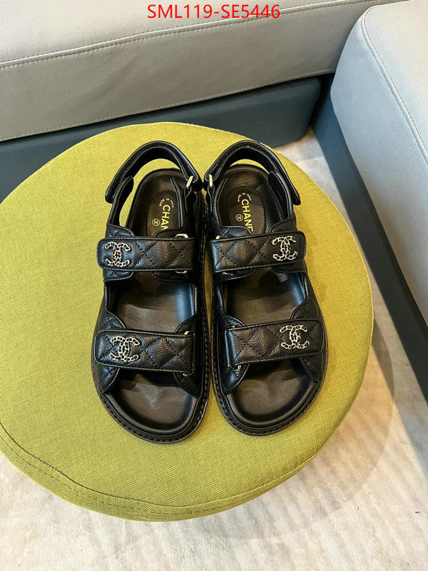 Women Shoes-Chanel,where can you buy a replica ID: SE5446,$: 119USD