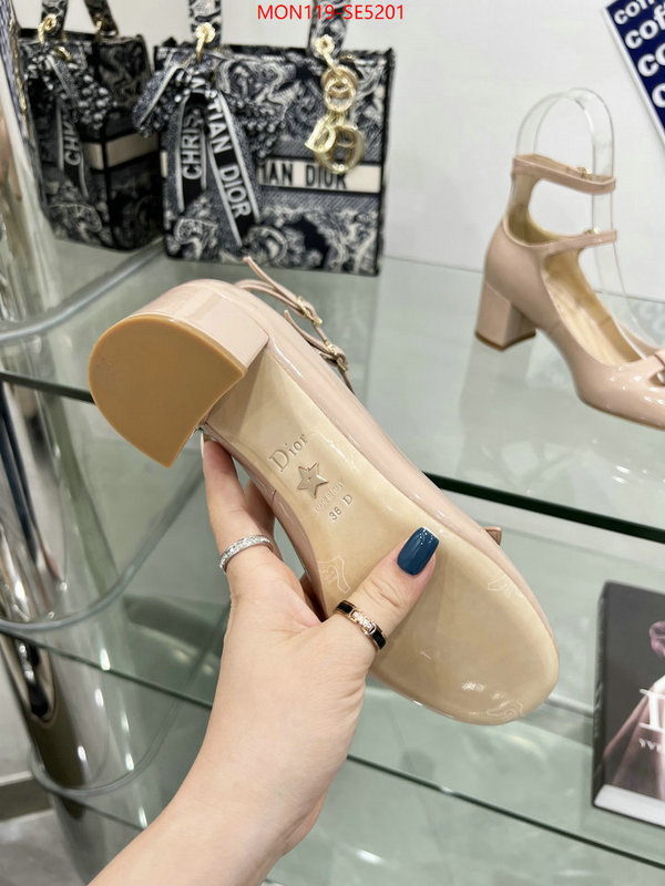 Women Shoes-Dior,shop now ID: SE5201,$: 119USD