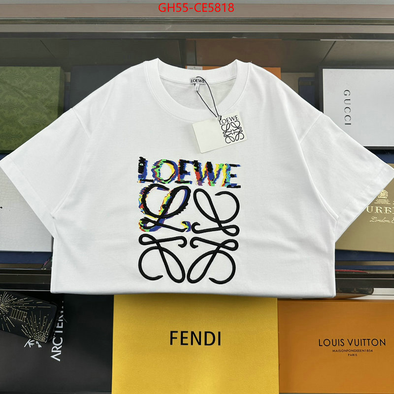 Clothing-Loewe,shop designer replica ID: CE5818,$: 55USD