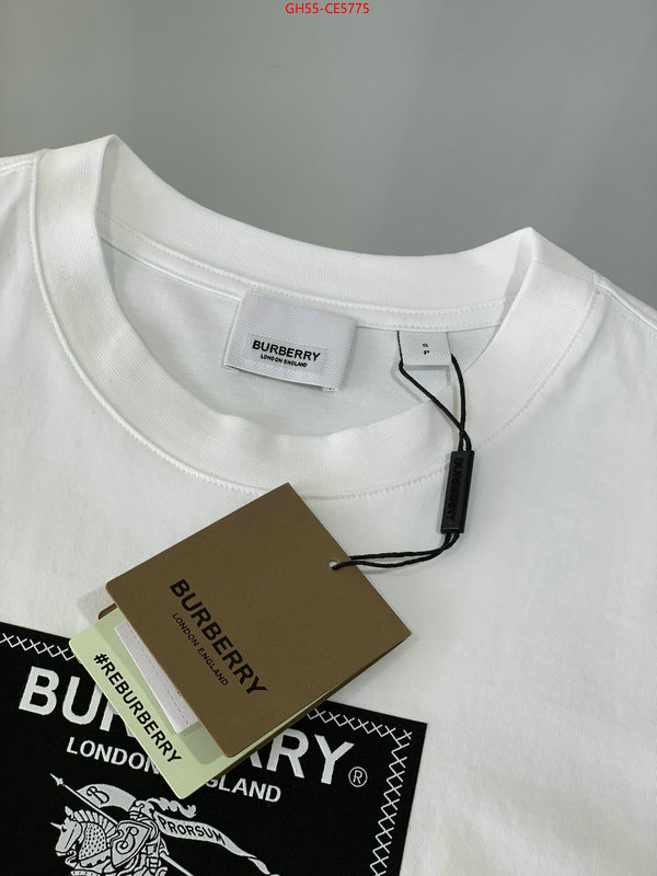 Clothing-Burberry,good quality replica ID: CE5775,$: 55USD