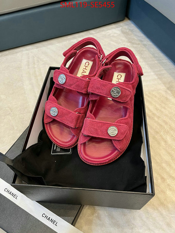 Women Shoes-Chanel,best luxury replica ID: SE5455,$: 119USD
