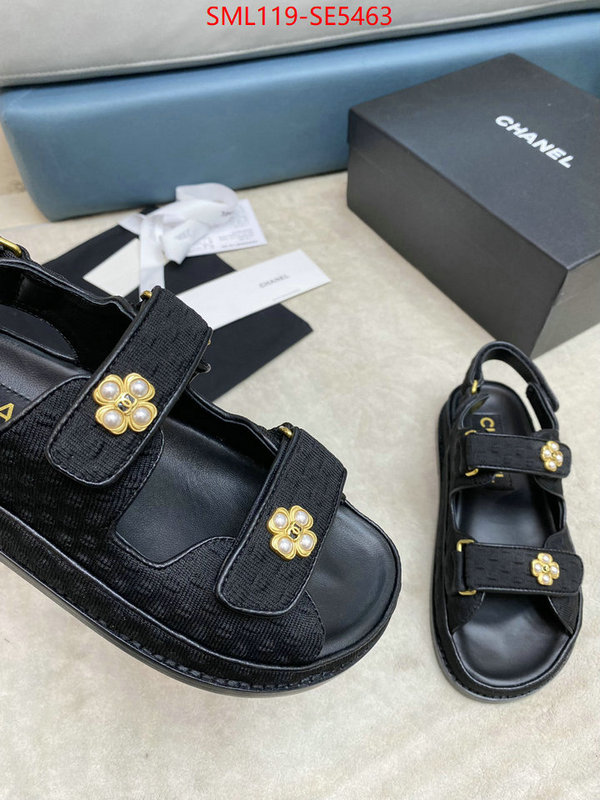 Women Shoes-Chanel,what is top quality replica ID: SE5463,$: 119USD