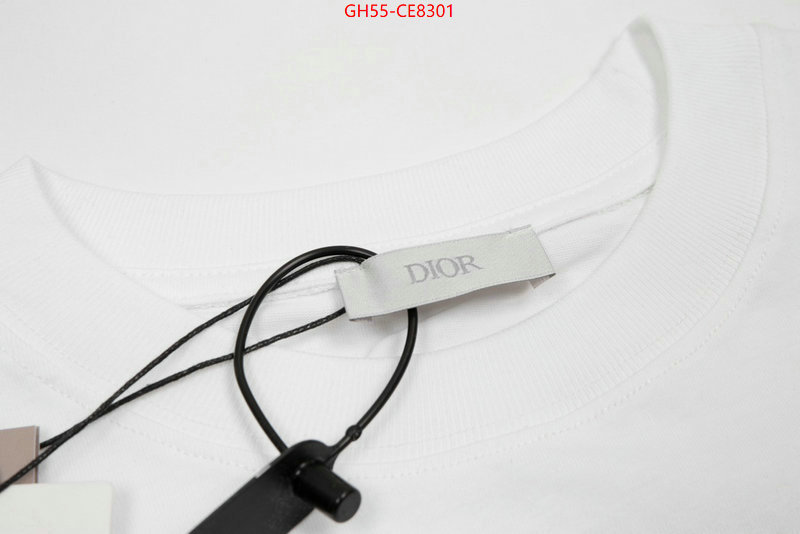 Clothing-Dior,fashion replica ID: CE8301,$: 55USD