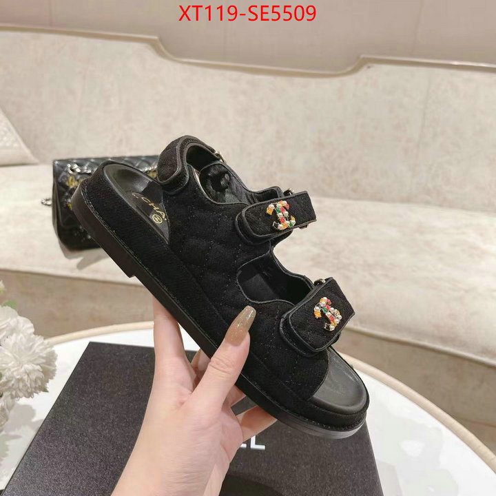 Women Shoes-Chanel,supplier in china ID: SE5509,$: 119USD