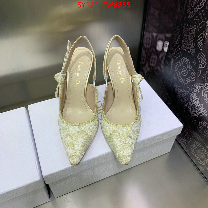 Women Shoes-Dior,customize the best replica ID: SW6835,$: 129USD