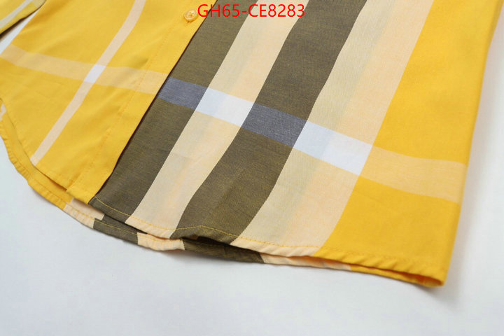 Clothing-Burberry,best luxury replica ID: CE8283,$: 65USD