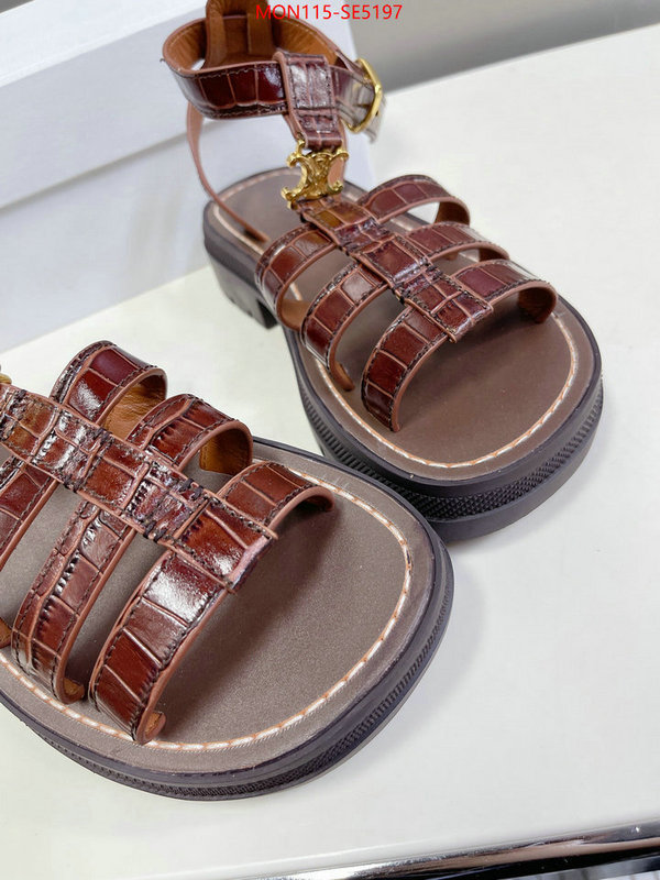 Women Shoes-CELINE,buy the best high quality replica ID: SE5197,$: 115USD