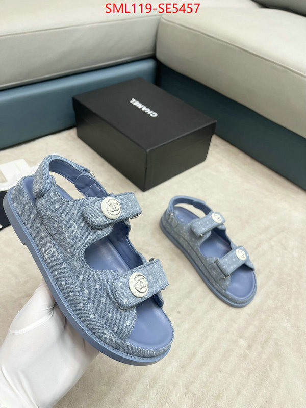Women Shoes-Chanel,top quality fake ID: SE5457,$: 119USD