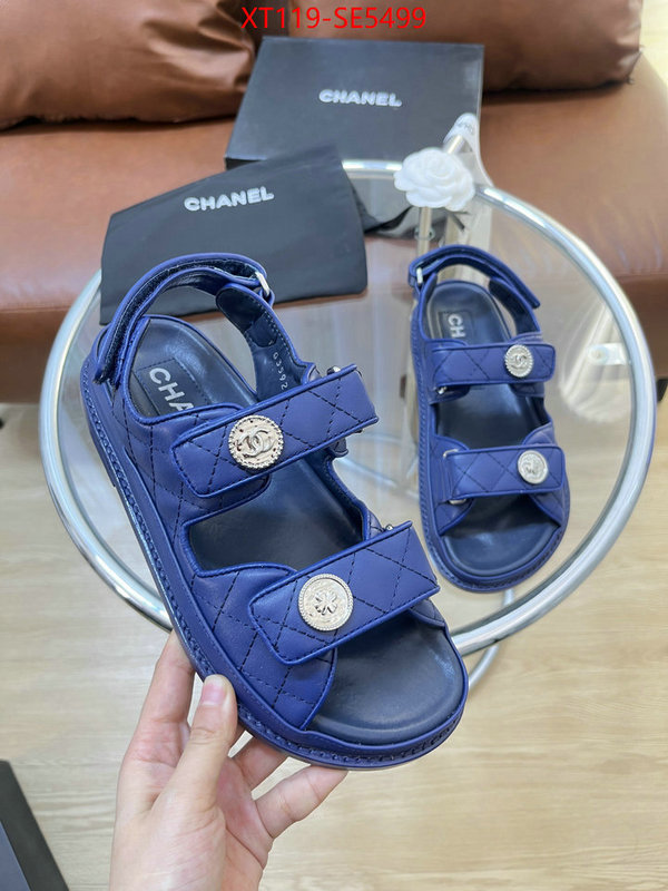 Women Shoes-Chanel,knockoff ID: SE5499,$: 119USD