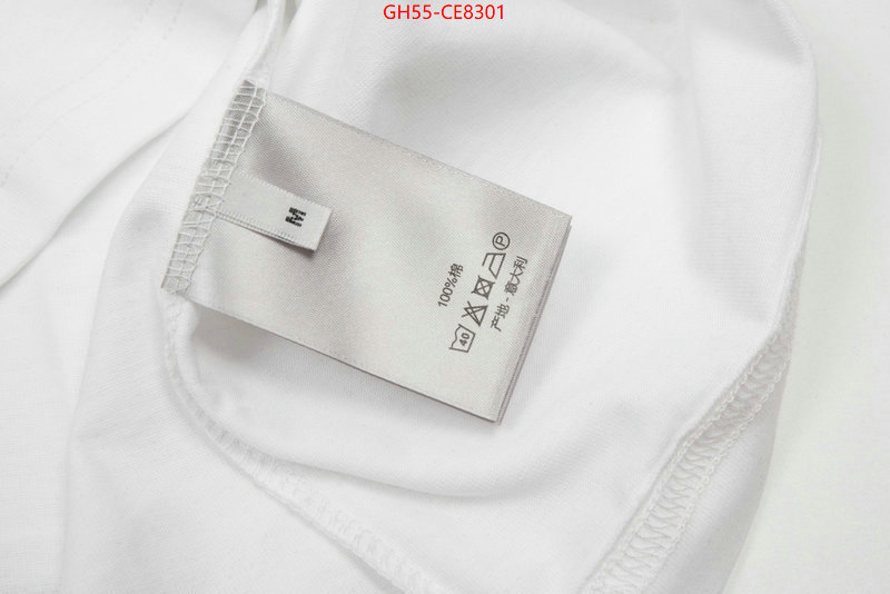 Clothing-Dior,fashion replica ID: CE8301,$: 55USD